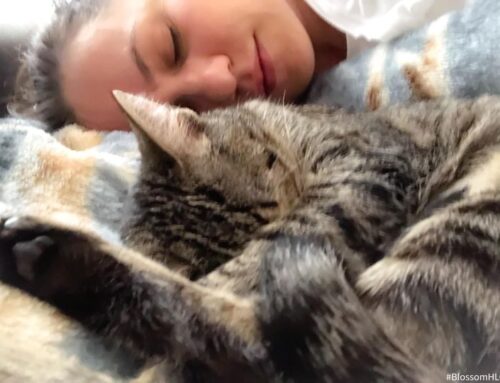 7 tips for deep, blissed-out sleep